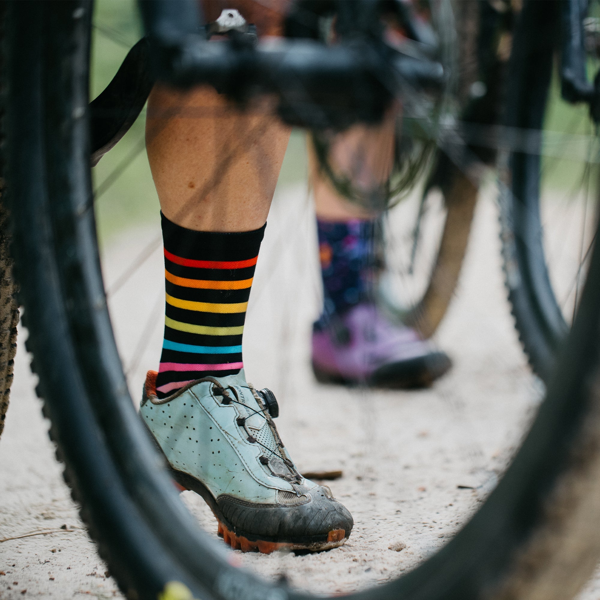 Rainbow Crew Socks