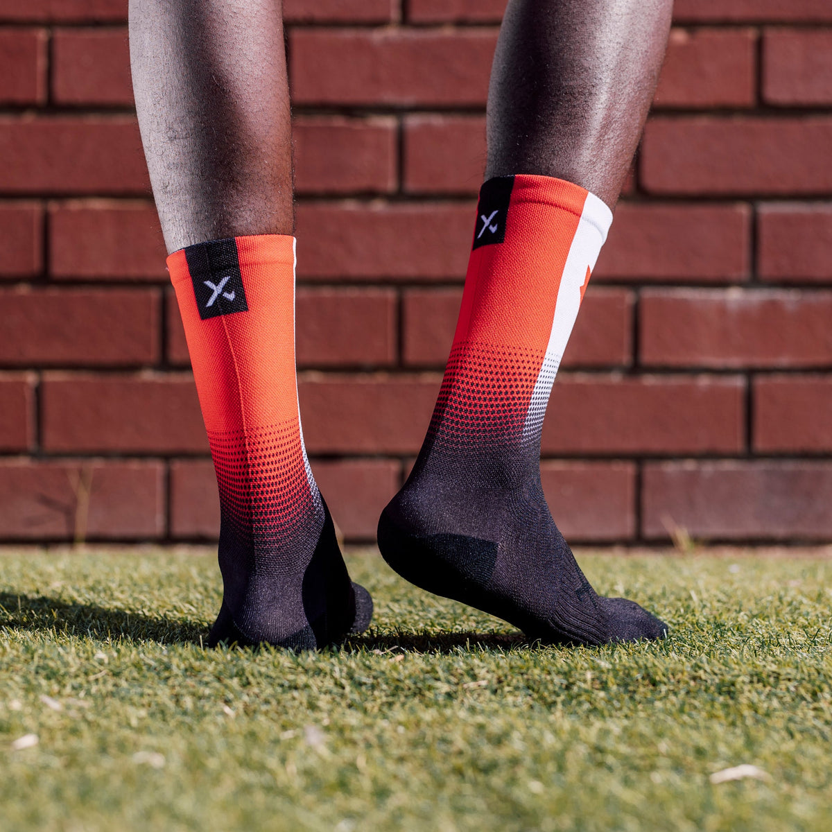 Canada Flag Crew Socks