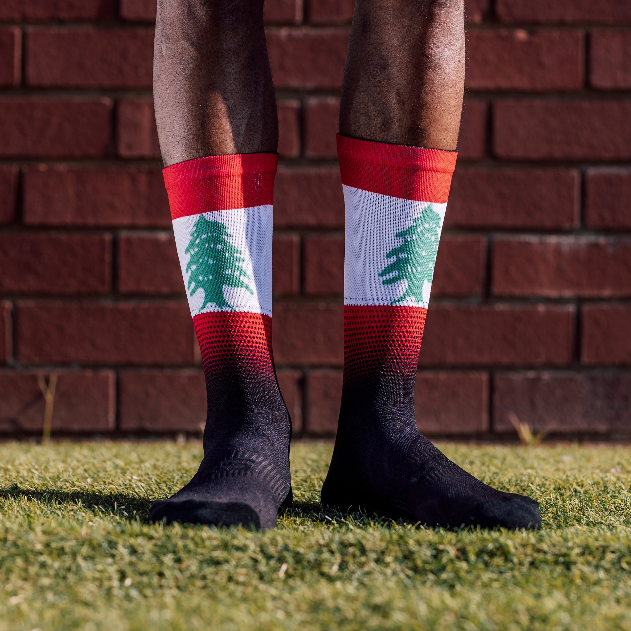 Lebanon Flag Crew Socks