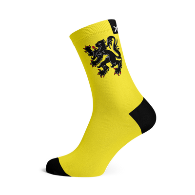 Flemish Lion Flag Crew Socks