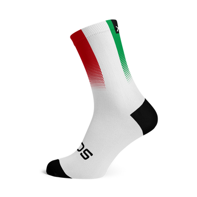 Italy Flag Crew Socks