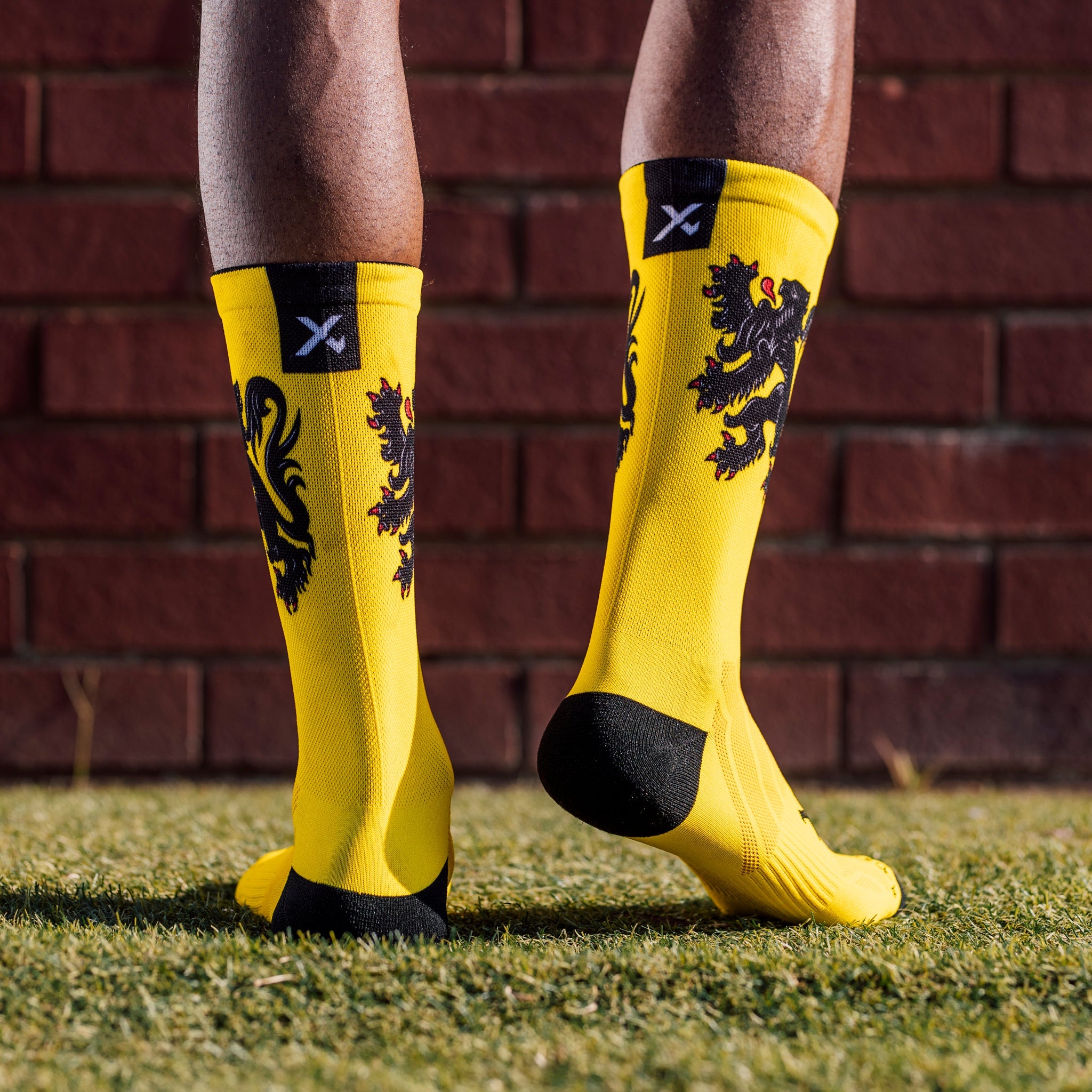 Flemish Lion Flag Crew Socks