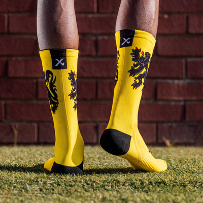 Flemish Lion Flag Crew Socks