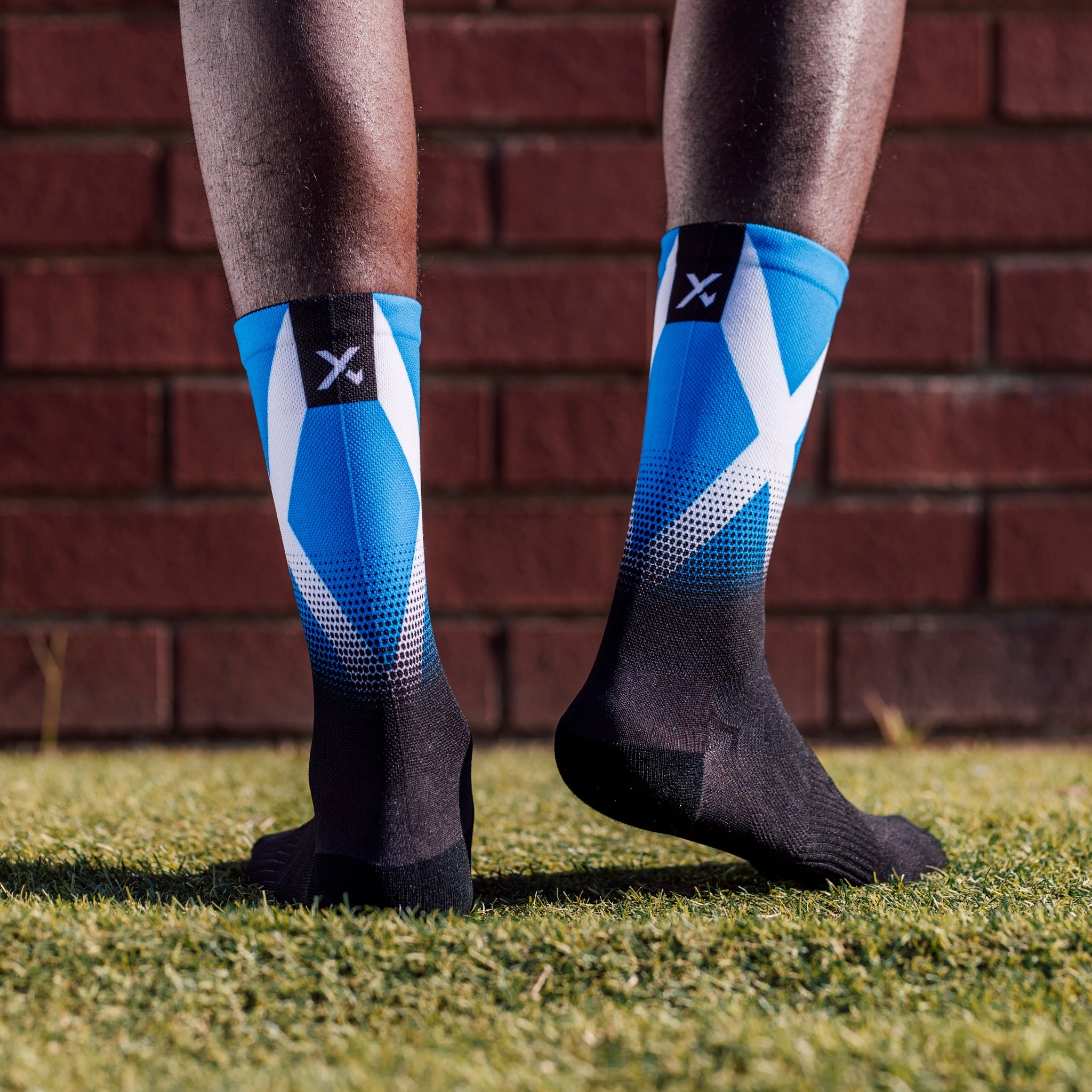Scotland Flag Crew Socks