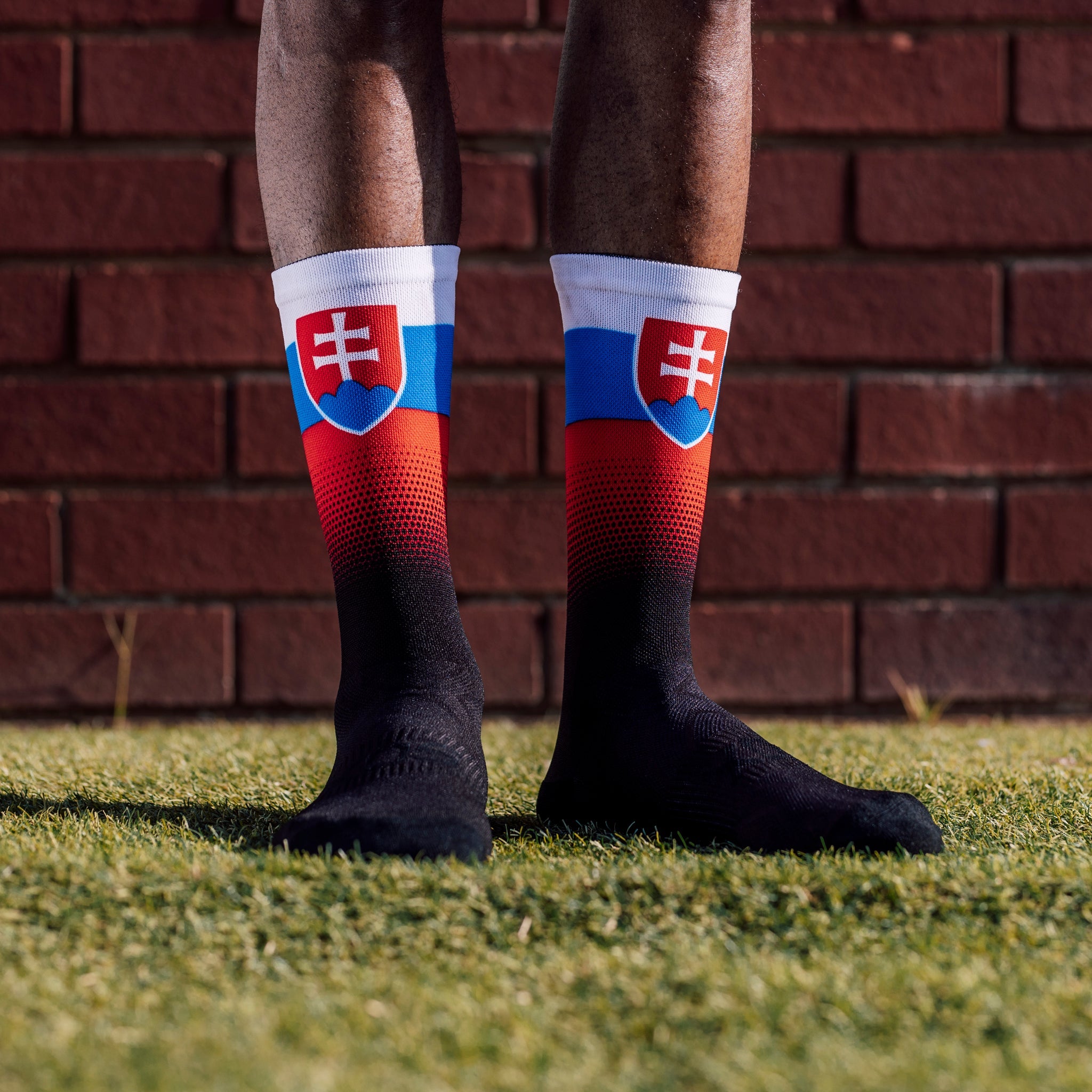 Slovakia Flag Crew Socks