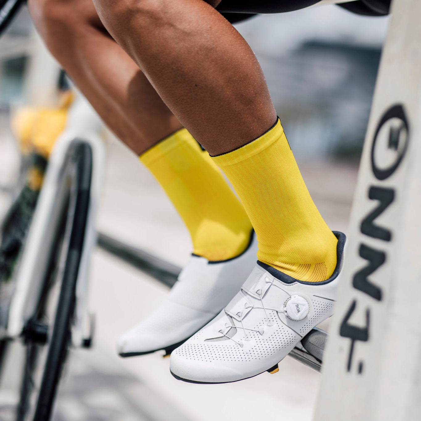 Slight Yellow Crew Socks